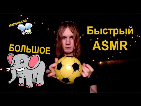 Видео: Быстрый ASMR {Большое и маленькое}