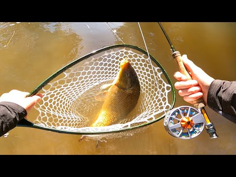Видео: Рыболовные пресноводные гиганты!