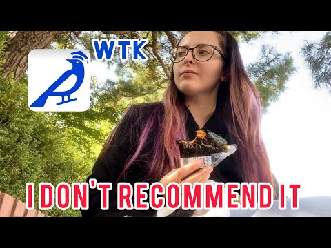 Видео: KOREA VLOG DIARY| и снова агенство  WayToKorea / антиреклама  хатах | 12.10.2023