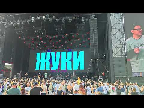 Видео: ЖУКИ