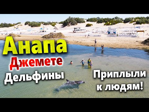 Видео: #Анапа ПОТЕРЯЛ ДАР РЕЧИ ОТ МОРЯ! ДЖЕМЕТЕ- ДЕЛЬФИНЫ ПУГАЮТ ТУРИСТОВ! РАЗБИЛ ДРОН:(