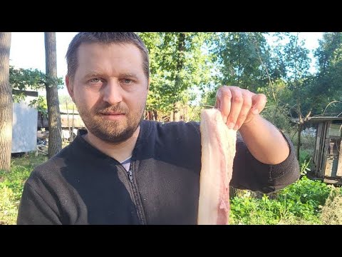 Видео: ✅Рекордна партія поросят 🐷 6 місяців 200 кг. Відео за 21 квітня 2025 року. Вони народилися 5 березня