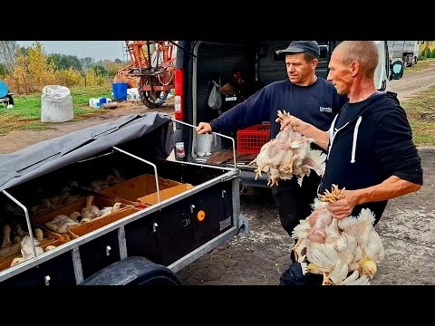 Видео: Кращий 🐔тіко в  Бройлерної Королеви‼️Бізнес на електро лісапетах‼️В світ кормів,до Пані Олі‼️