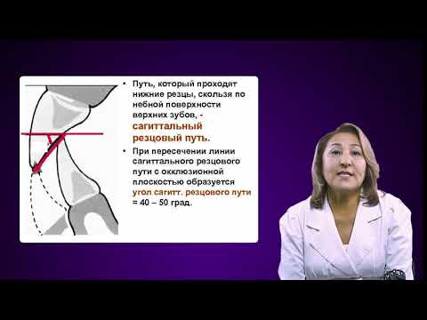Видео: Биодинамика нижней челюсти. Артикуляция. Окклюзия и ее виды