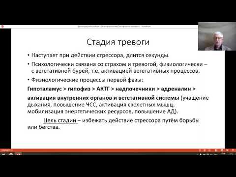 Видео: Психофизиология 8, Стресса. Хандожко И И ,МГОУ