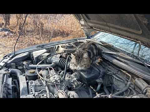 Видео: Замена радиатора печки Subaru legacy