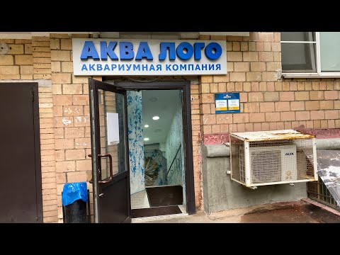 Видео: Зоомагазин «АКВА ЛОГО» #москва #аквариум #екатеринбург #морскойаквариум #аквариумистика #рыбки