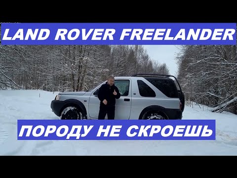 Видео: Land Rover Freelander Большой обзор #landrover #landroverfreelander #landroveroffroad