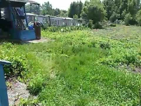 Видео: Помпа Свияга качает.