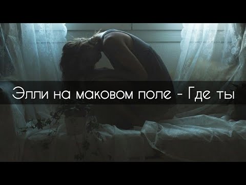 Видео: Элли на маковом поле - Где ты[текст]