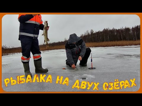Видео: РЫБАЛКА на ДВУХ ОЗЁРАХ. ЛОВИМ ЩУКУ на ЖЕРЛИЦЫ.