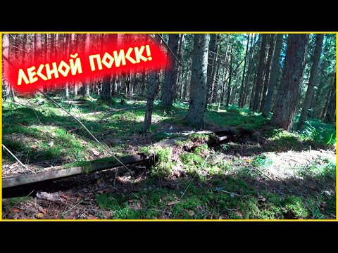 Видео: И ВСЁ-ТАКИ НАС ЖДАЛ УСПЕХ!!! НАЧАЛО БЫЛО НЕ ОЧЕНЬ, А ПОТОМ КАК НАЧАЛОСЬ...