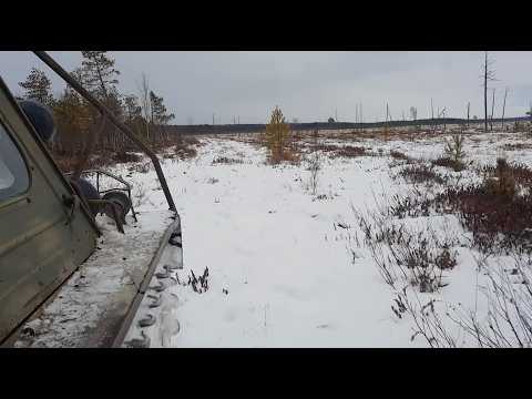 Видео: Пригласили на охоту и рыбалку. Выезд далеко в тайгу на реку Лозьва.