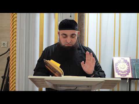 Видео: Джурайджах лаьцна дийцар. Мулкалмовтах а, Мусах а лаьцна дийцар. Х1ут1ба 31.10.25 шо