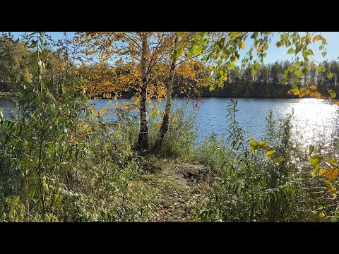 Видео: Красивейшее место в Ярославле. Ляпинские карьеры. Полуостров Автокоса, он же Первая бровка (4К)