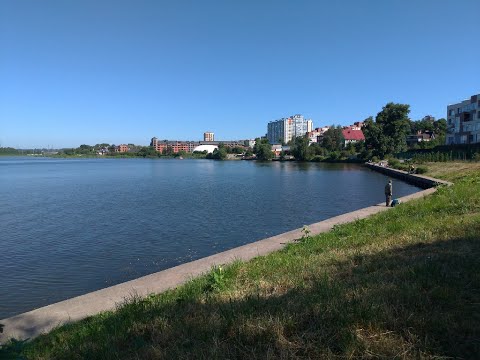 Видео: Рыбалка в Спб.Суздальское озеро - Большое.Маховая удочка.Тонна Плотвы