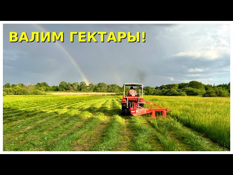 Видео: Сезон сенокоса открыт! Трактор Шифенг 244 с польской косилкой!