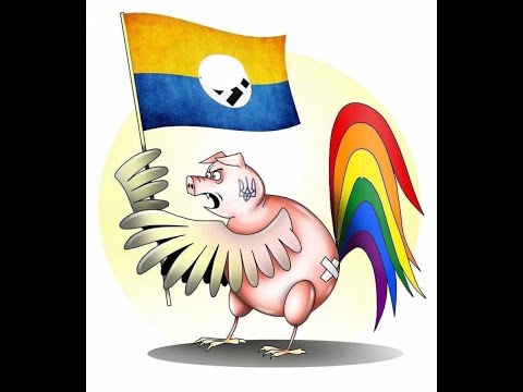 Видео: Мошенники всех мастей (сборник 79)