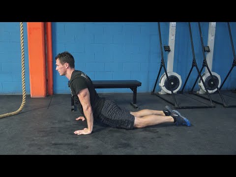 Видео: Упражнения и растяжки для дайверов