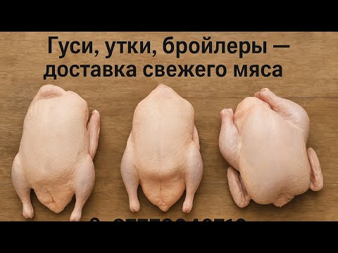 Видео: Доставка мяса птицы из деревни🚜🐔 Farm Fresh Chicken Delivery from the Village 🚜🐔