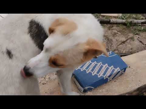 Видео: Фильм Дом улитка по технологии глиночурка