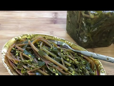 Видео: Портулак 🌱😍 по Турецкому 🇹🇷 рецепту - Приготовение портулак #портулак #приготовлениепортулак