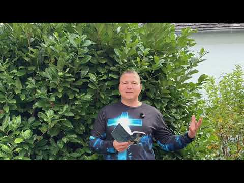 Видео: Призываю к полному обращению /1178/ Мария говорит практические вещи