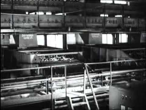 Видео: Производство сульфитной целлюлозы (1 часть)