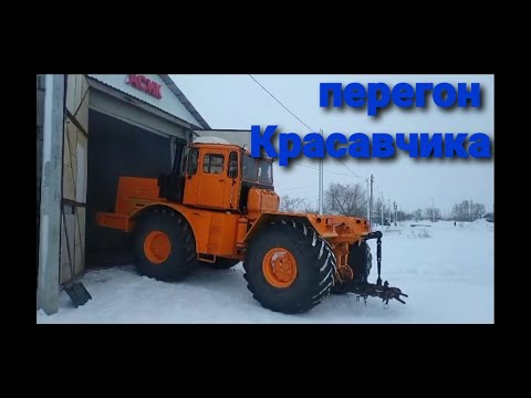 Видео: К-700а.Перегон Красавчика.#алекс_юстасу # перегонтрактора #к700 #трактор #kirovec #traktor