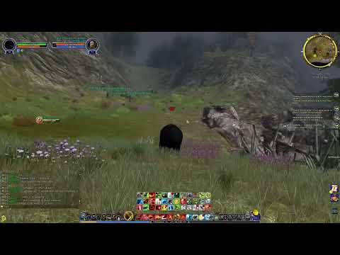 Видео: Lotro_ за медведя 3 часть