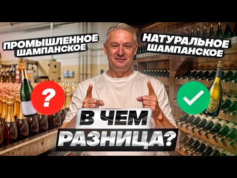 Видео: Почему шампанское Дом Периньон стоит как Бентли, а игристое Просекко как самокат? Рассказ ВИНОДЕЛА!