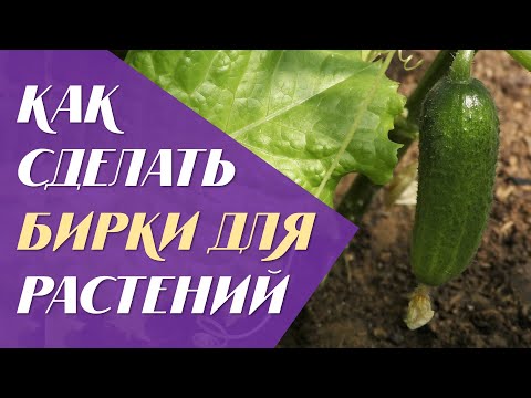 Видео: Как сделать бирки для растений, быстро и просто