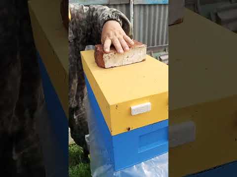 Видео: Бывает и такое.