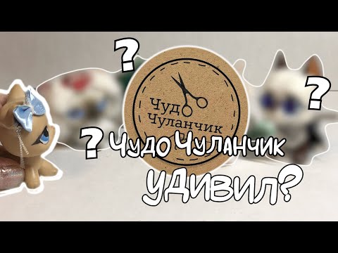Видео: Авторская одежда для LPS! Потратила много деняк 🥴