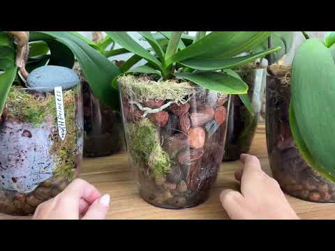 Видео: Ответ на странный комментарий🧐Обзор 5 одинаковых посадок в ЗС