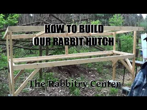 Видео: КАК ПОСТРОИТЬ КЛЕТКУ ДЛЯ КРОЛИКОВ - ЧАСТЬ 1