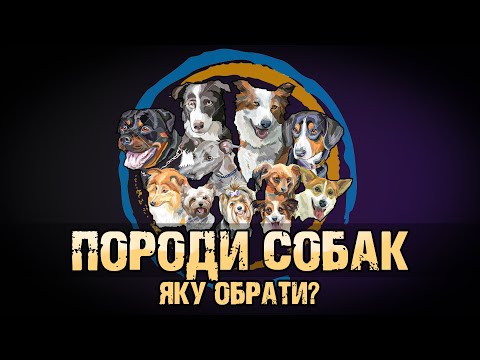 Видео: ТОП-6 ПОРОДИ СОБАК ДЛЯ СІМ'Ї | ЯКУ ПОРОДУ СОБАКИ ОБРАТИ ДЛЯ ВСІЄЇ РОДИНИ?