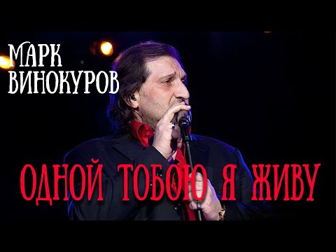 Видео: ОДНОЙ ТОБОЮ Я ЖИВУ / Разбор на гармони с цифрами