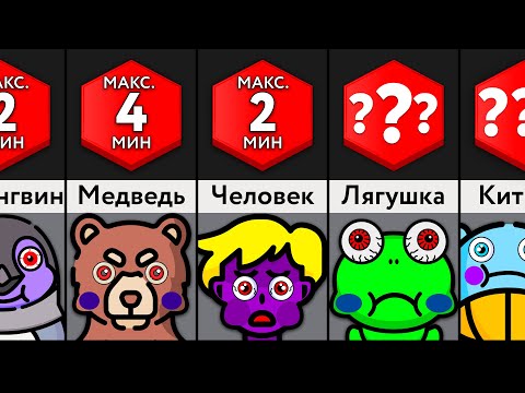 Видео: Как Долго ___ Может Не Дышать?