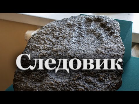 Видео: История одного экспоната. Следовик | Светлана Былкова