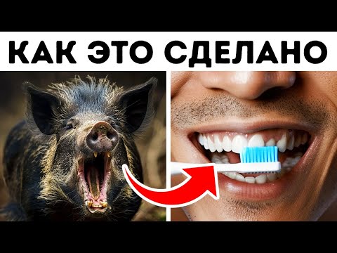 Видео: Секреты повседневных вещей, которые заставят вас переосмыслить наш мир