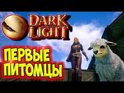 Видео: Dark and Light #3 ☛ Первые питомцы ✌