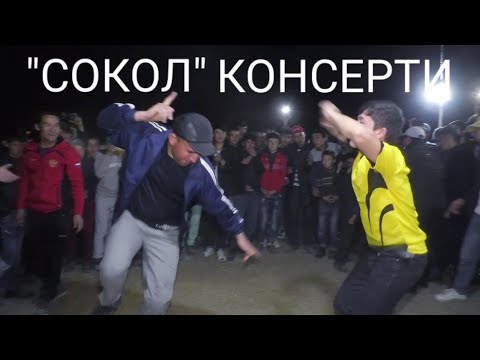 Видео: "Сокол" туйида.