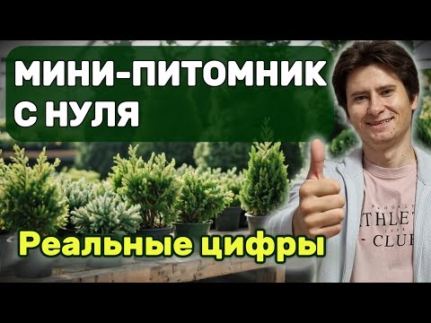 Видео: Сколько стоит открыть мини-питомник на даче? Реальные цифры и опыт