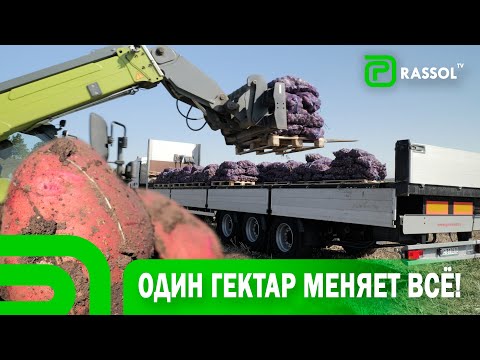 Видео: Этого не было десятилетия… А теперь — есть! Большееланское удивляет.