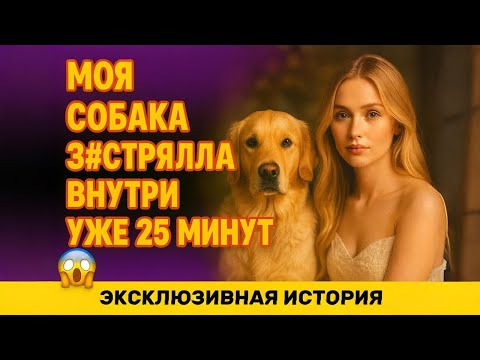 Видео: Когда муж уезжает, мой пёс становится моим самым преданным защитником 🐾