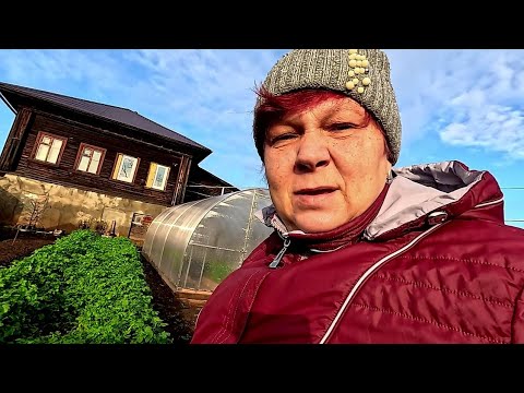 Видео: Догуляла с соседом,  залетела.. Думать надо головой...