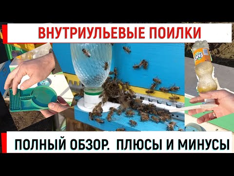 Видео: Внутриульевые поилки  Обзор  Плюсы и минусы