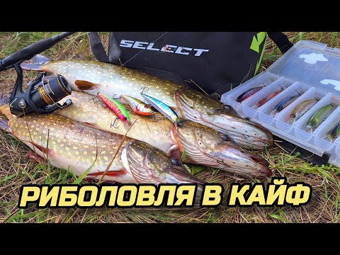 Видео: ✅️ПРИМАНКИ ДЛЯ РИБОЛОВЛІ В КАЙФ ✅️😎
