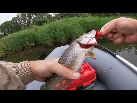 Видео: Рыбалка на реке Кондома (Новокузнецк)